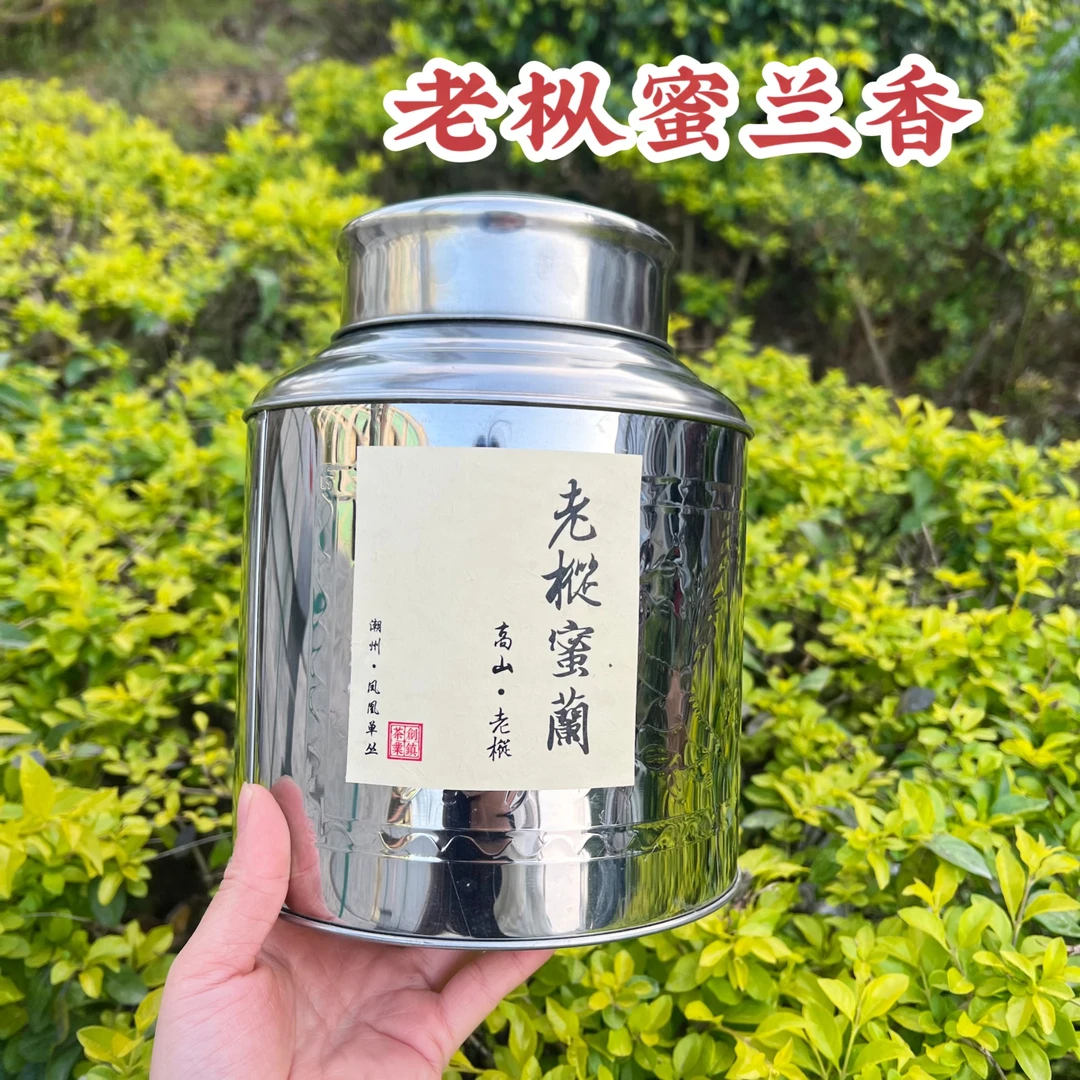 【凤凰头春蜜兰香】高山2023年中熟 潮州单丛炭火乌龙茶 500g不锈钢