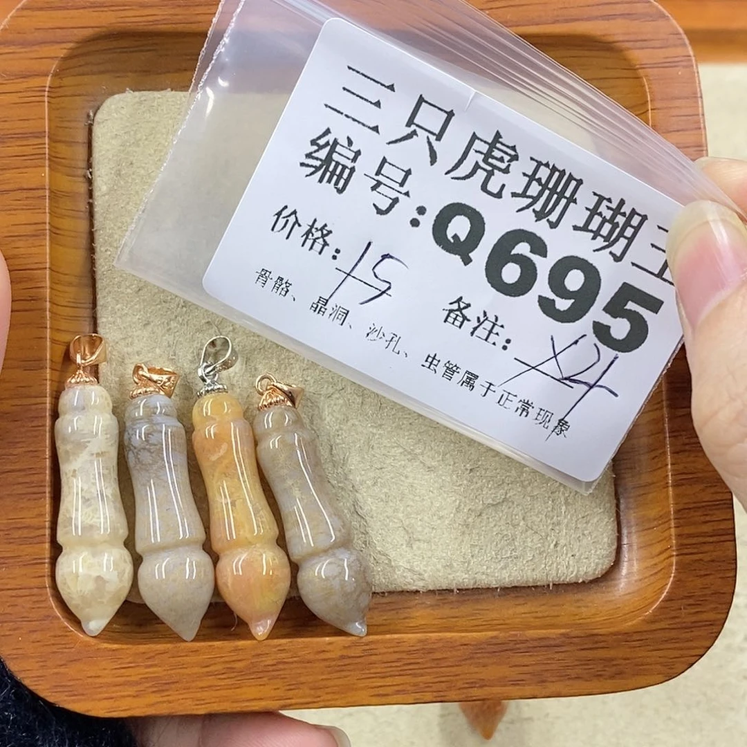 硅化珊瑚（珊瑚玉）1未镶嵌豆***王