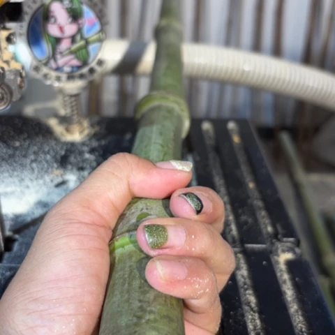 ·***念实心竹竹竹竹竹竹竹竹竹竹竹