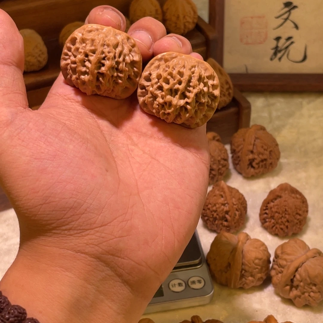 周****鸡38秦闷11111112222222