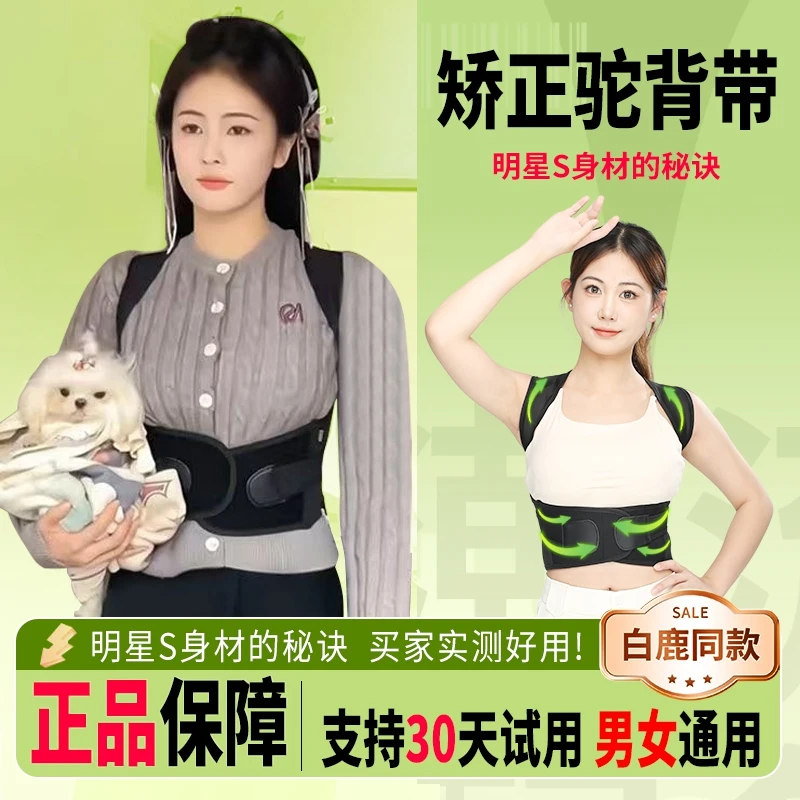 白鹿同款背背矫正驼背带护腰带二合一男女儿童背部矫正成人专用佳