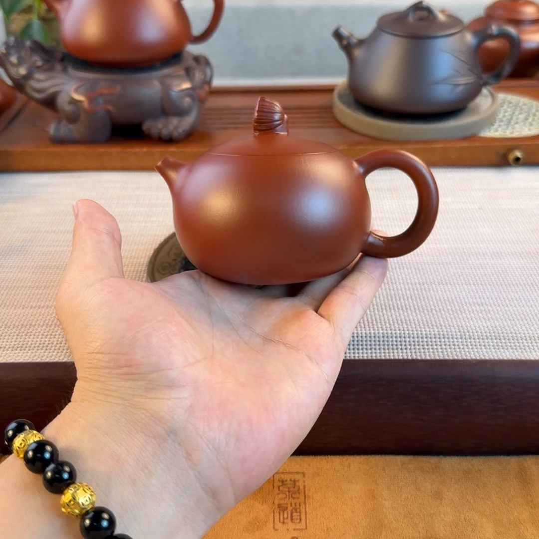 茶壶紫砂紫砂紫砂紫砂紫砂鸿运当头