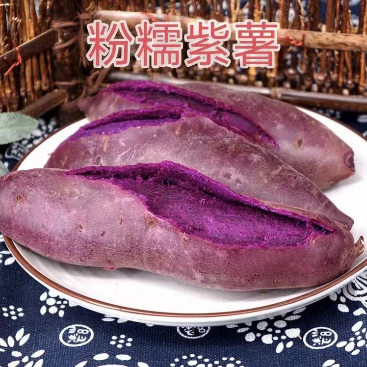紫罗兰紫薯新鲜现挖农家自种蜜薯紫心番薯