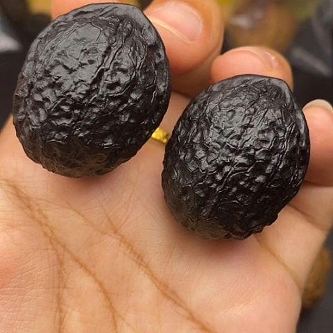 文玩核桃把件36尺蟒纹龙蛋