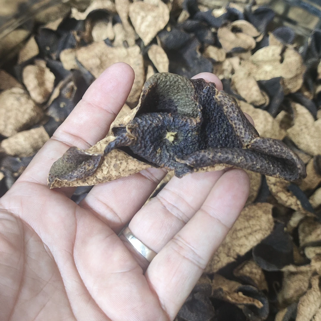 新会老陈皮专用链接