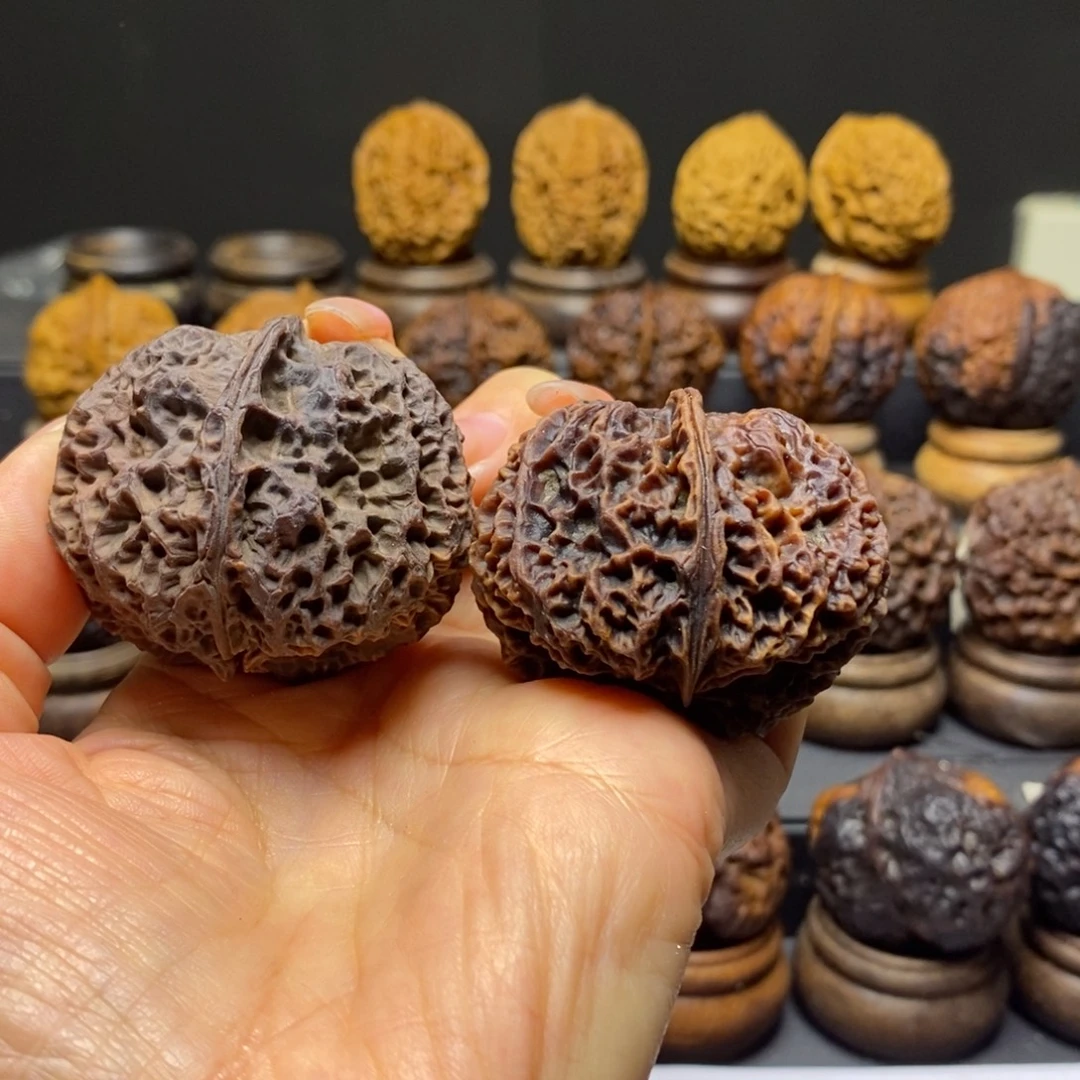 贝***汗苍山神鹰47尺寸云南铁核