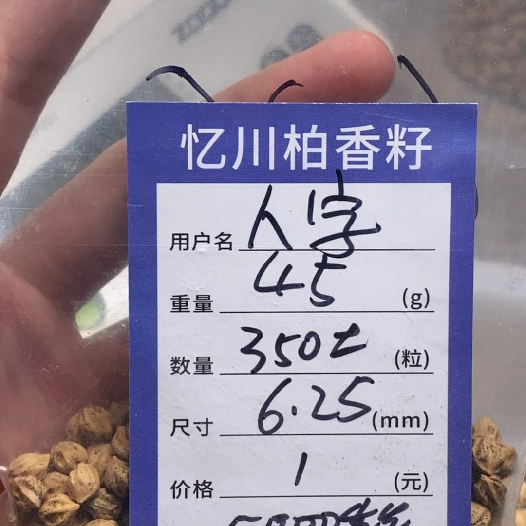 柏香籽/百香籽吊坠人****?