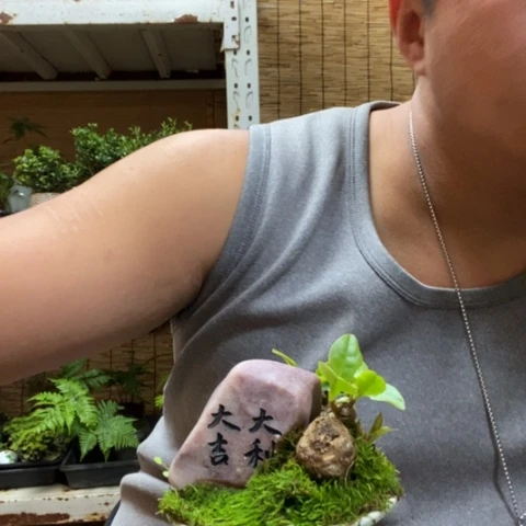 红陶阿*.一物一拍所见即所得168