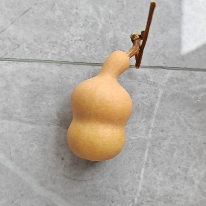 贝***･葫芦小葫芦葫芦葫芦