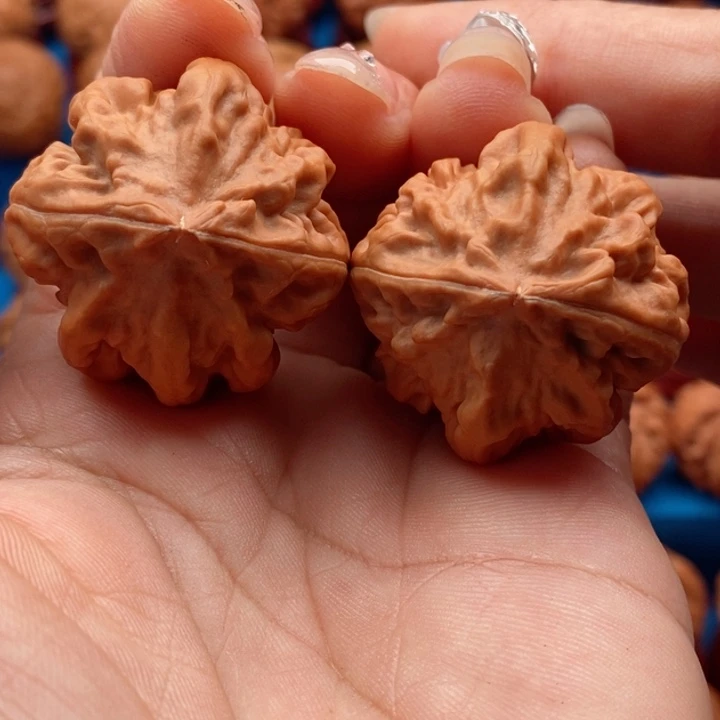 文玩核桃把件精品文玩手捻帝王龙脊