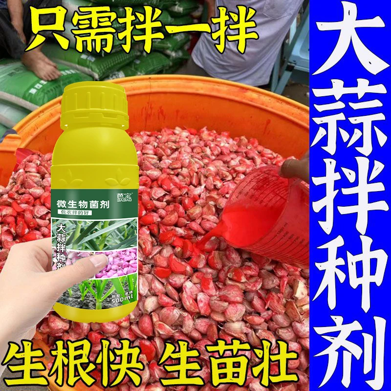 大蒜发芽剂专用拌种剂爆芽王催芽生根种子快速发芽蔬菜专用生根剂