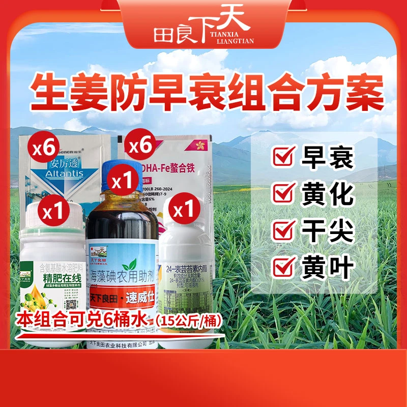 生姜防早衰组合方案   预防早衰、黄化、干尖、黄叶