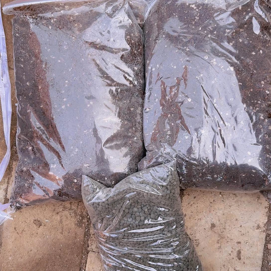 多肉两袋土➕一袋肥