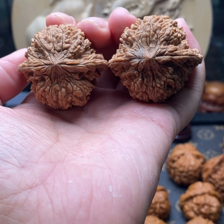 养***后文玩核桃把件满天星