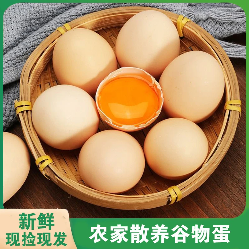 正宗农家鸡蛋山林散养土鸡蛋谷物笨鸡蛋新鲜现捡食用蛋50g/枚