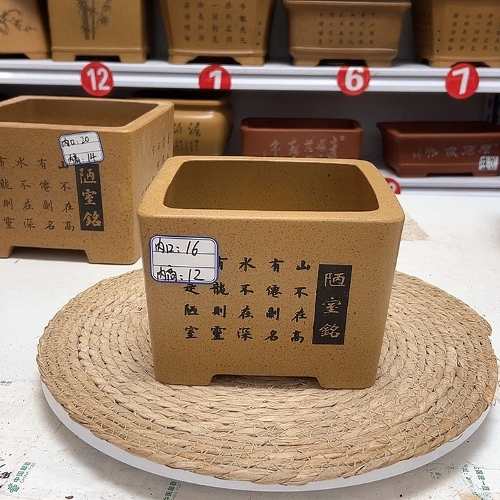 紫砂花盆蛇年大吉