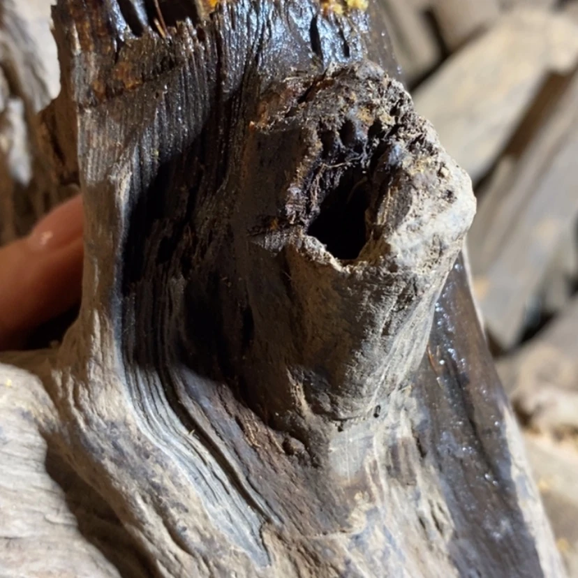 【闪购商品】手串贡木舍私人订制