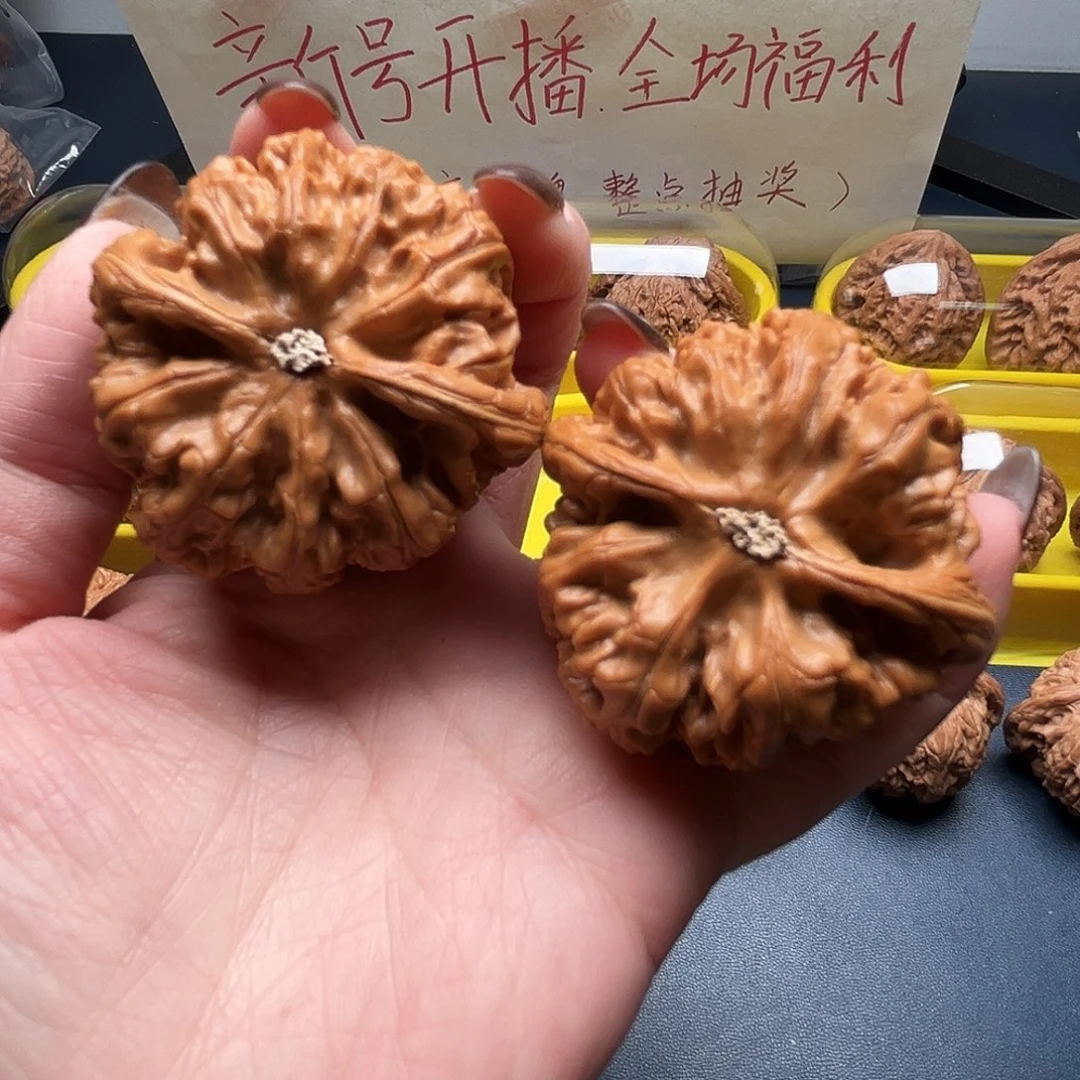 静***儿核桃48尺寸大球筋