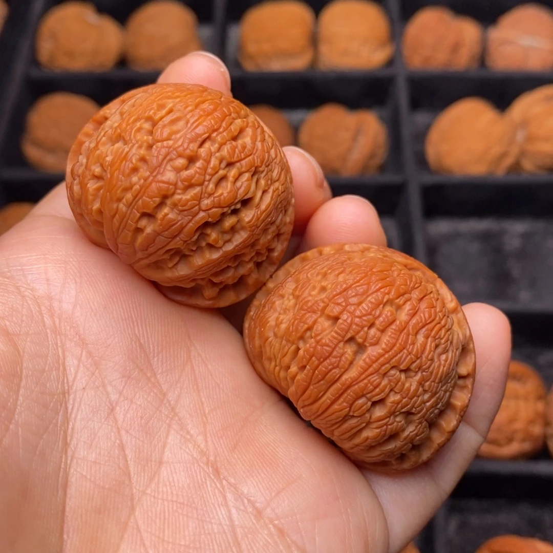 秦岭野生文玩核桃