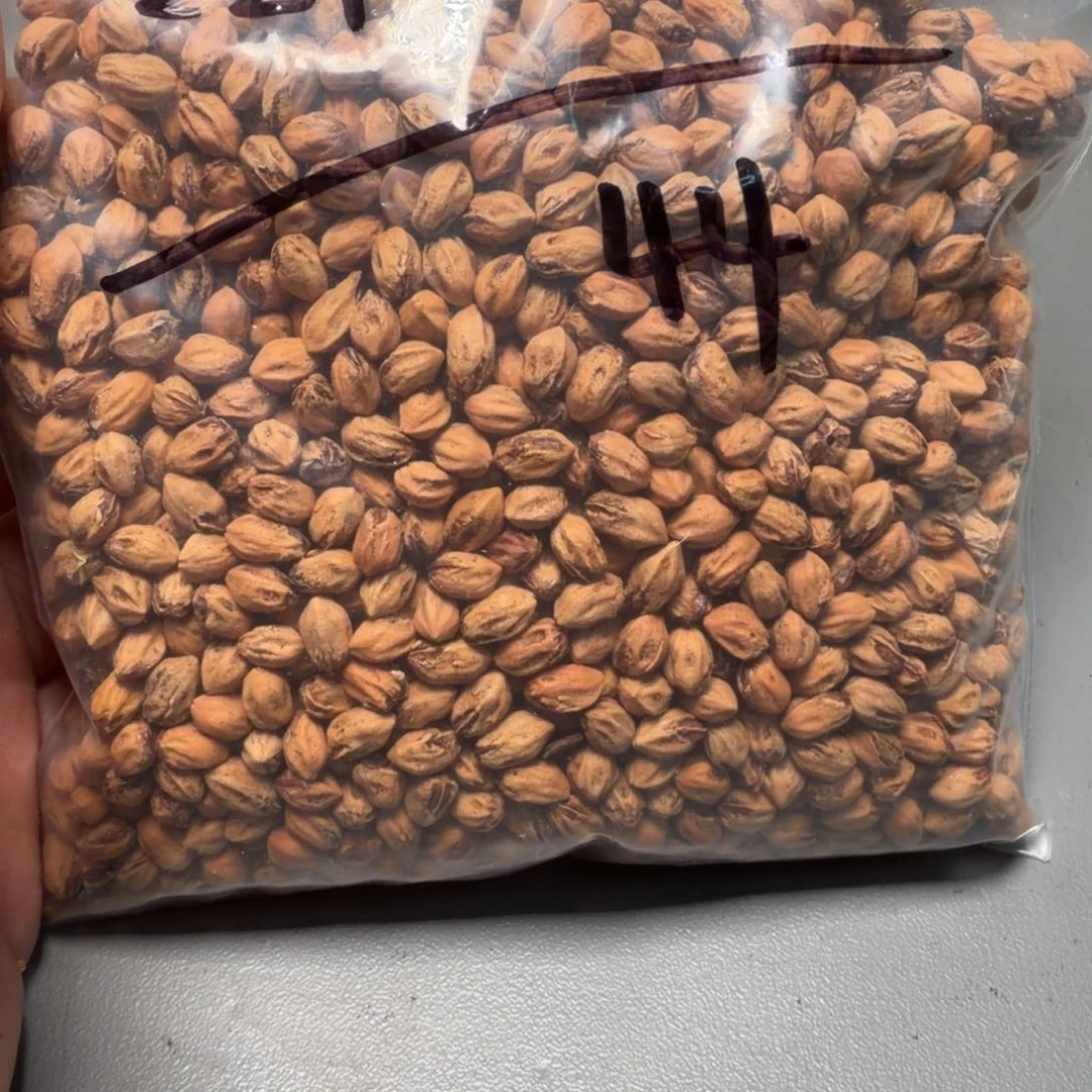 吊坠柏香籽/百香籽野**香