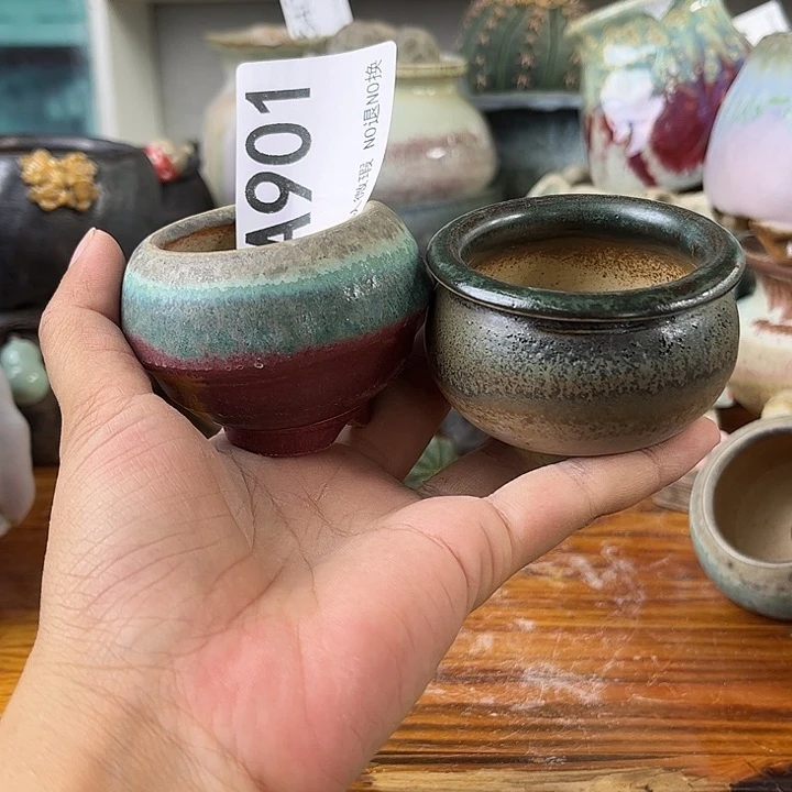 重庆小燕子欢迎大家901