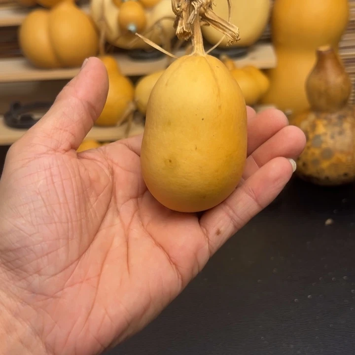 大**?225555552666699999