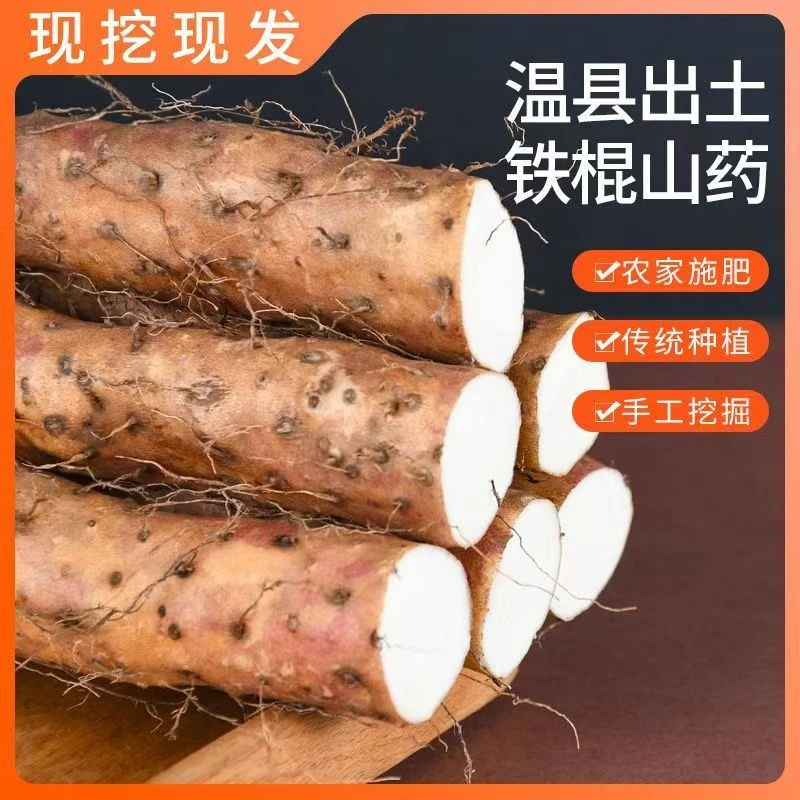 河南温县垆土铁棍山药新鲜现挖正宗怀山药原产地发货