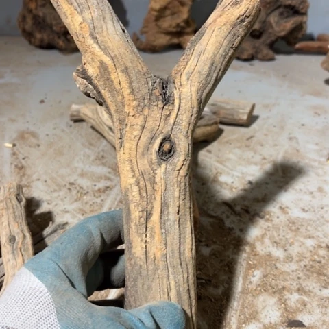 庆***年大果紫檀（缅甸花梨）