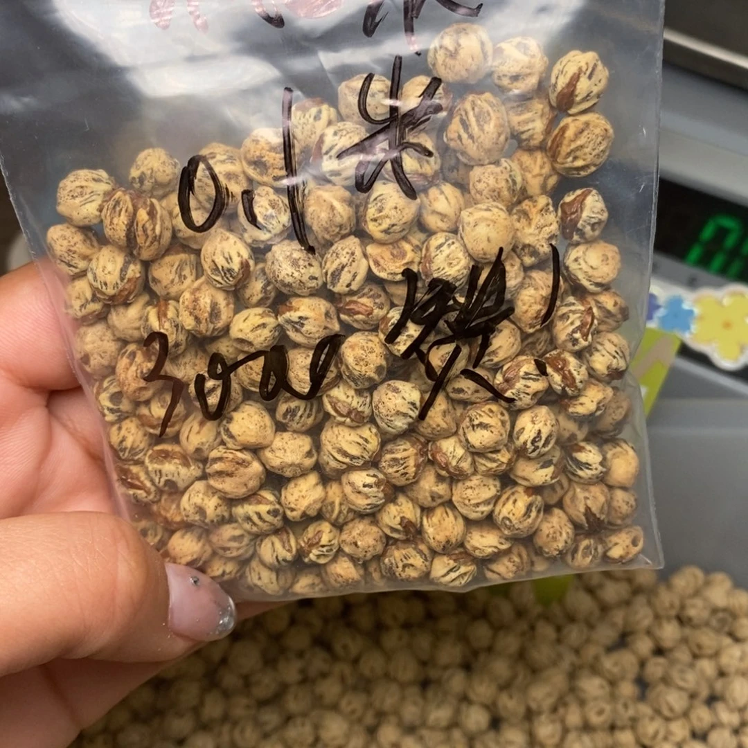 柏香籽/百香籽吊坠