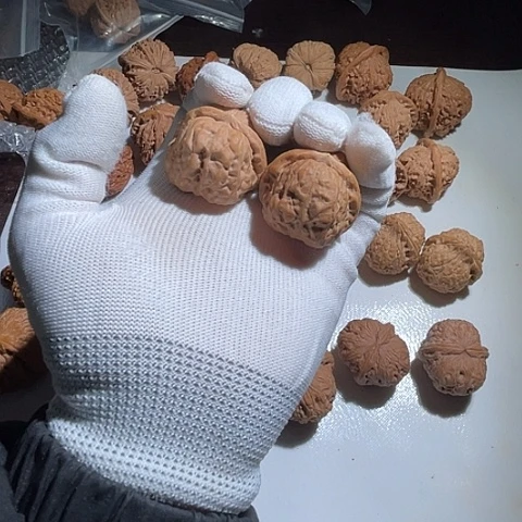 文玩核桃吊坠水尖哈嘛