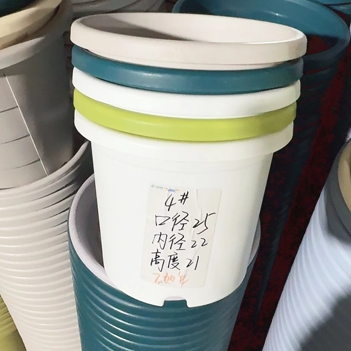 四季4#白色8个无托口径25