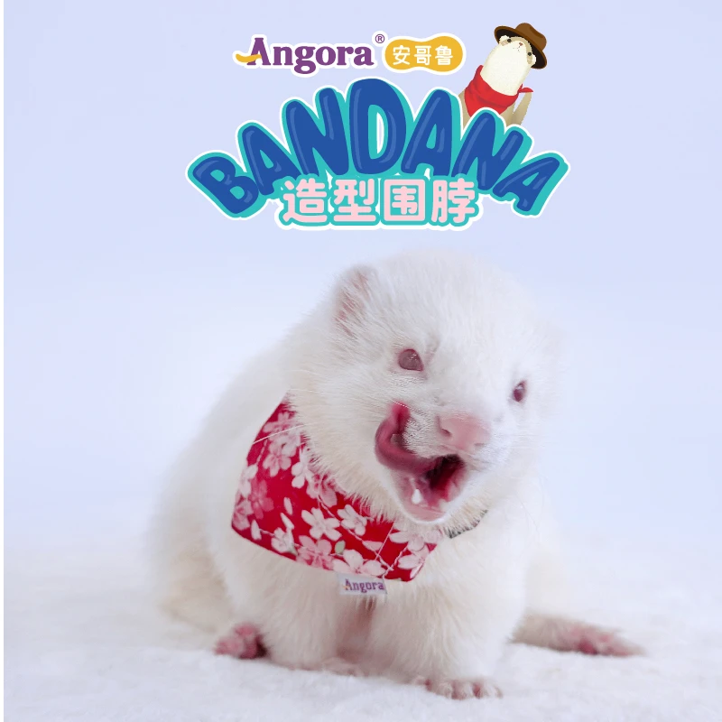 Angora/安哥鲁宠物围兜围巾围脖宠物雪貂三角巾口水巾装饰品