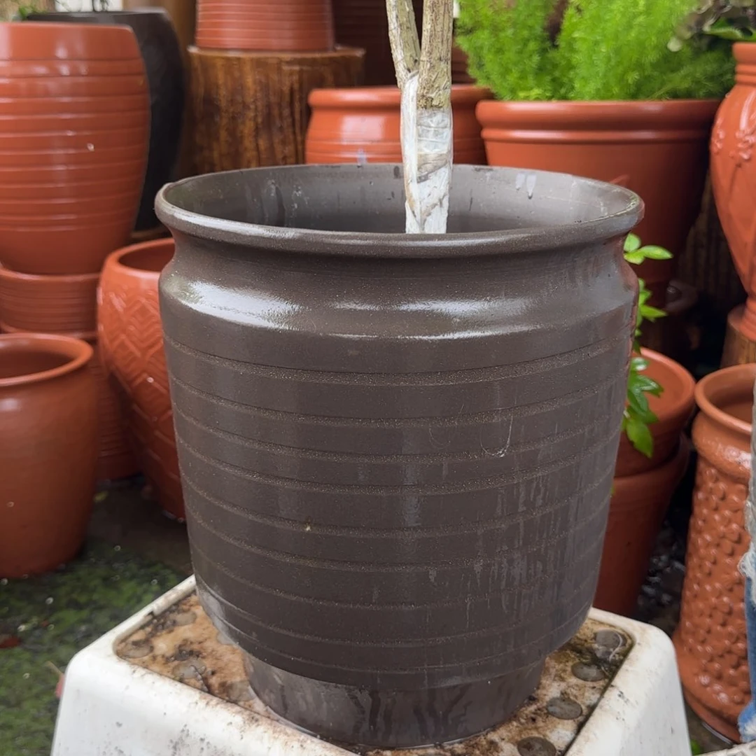 紫砂花盆口25高30宜兴紫砂