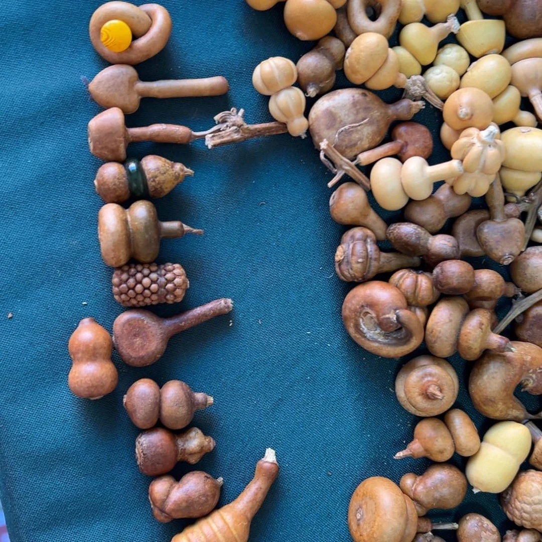 福****大葫芦娃兄弟姐妹们一起来来