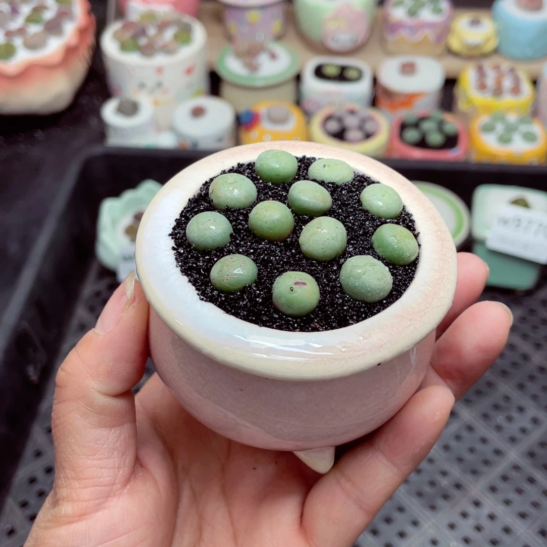 w9771 -零下地区拍保温箱-15支持寄养