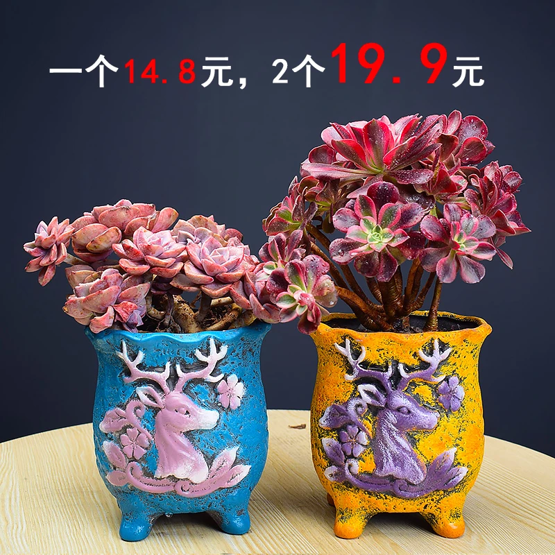 新款雕花彩绘鹿头盆多肉花盆厂家直销清仓肉肉大号老桩白陶高盆