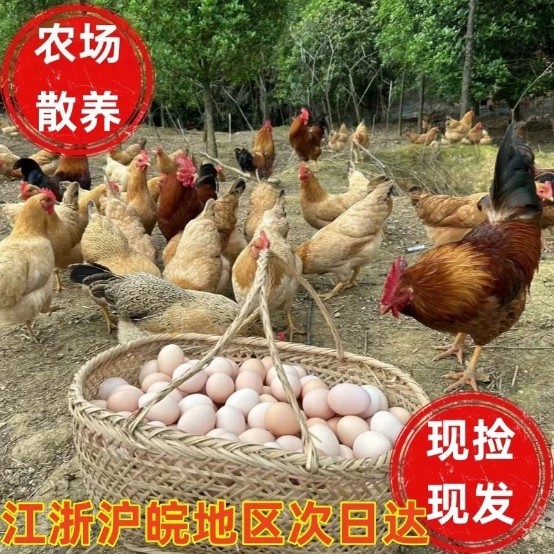 【京东次日达】正宗农场散养土鸡蛋 新鲜现发30枚盒马 鸡蛋