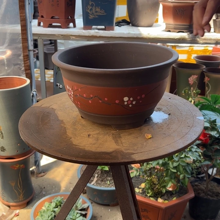 宜兴紫砂花盆红富贵点菜大