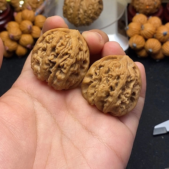 龙脊菩提吊坠毛毛虫