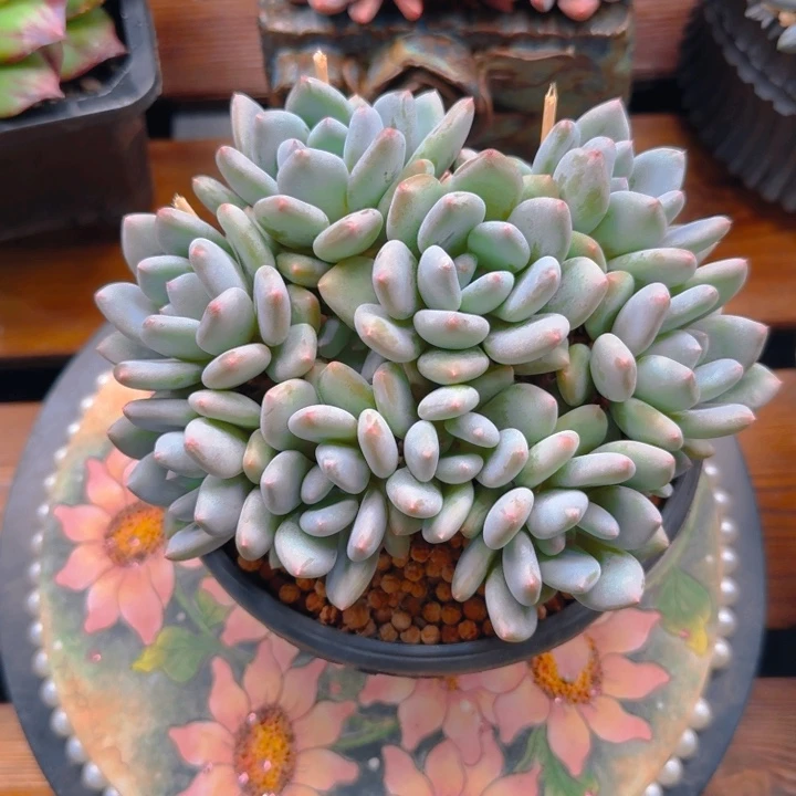 宣宣发货11111111111111