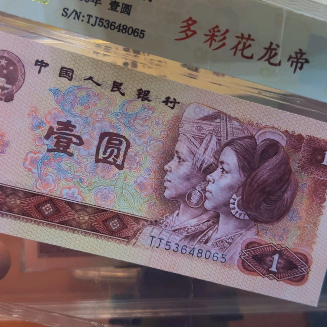 多彩花帝龙一张一张一张