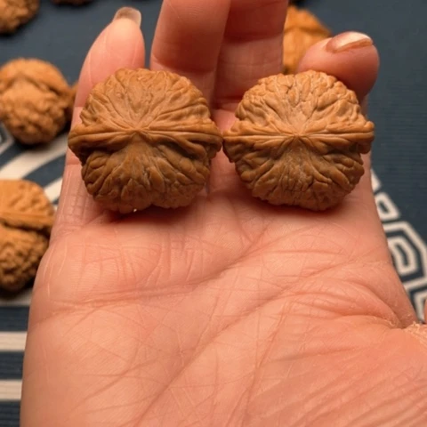 橄榄核手串/手链康熙磨32