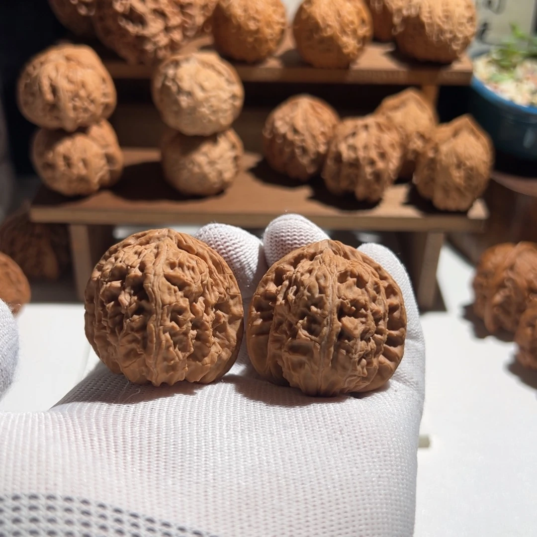 核桃全品无修 40 白狮子