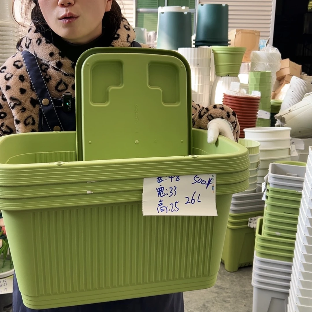 菜盆500#果绿3个（含托）