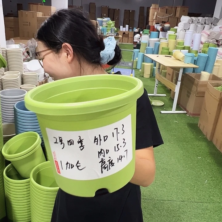 特价2号四季口17高15白色10只无托