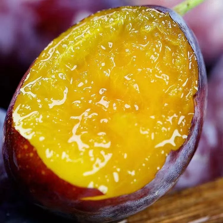 【现摘现发】新鲜西梅产地直采坏果包赔软了吃才会甜