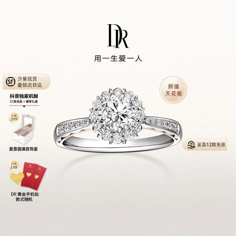 【12期免息】DR钻戒LOVE PALACE系列求婚钻戒华美礼堂戒轻奢WJ0107