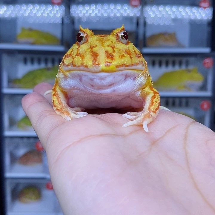 特价秒杀现货特价