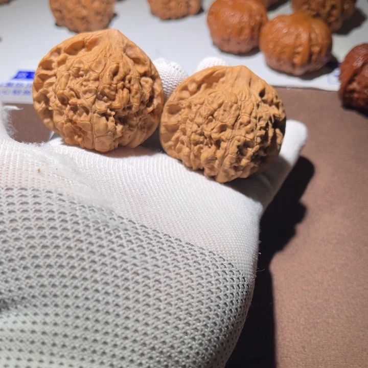 全品大官帽50尺寸