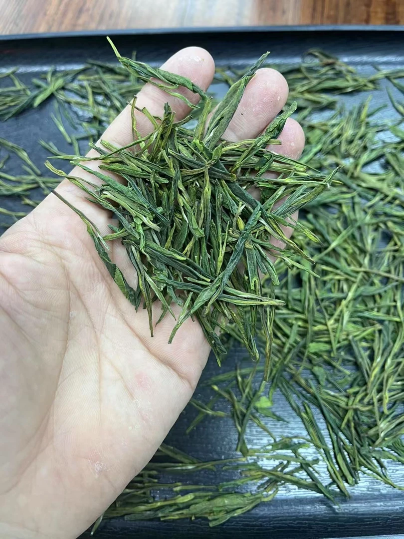 大白茶2025新茶500g